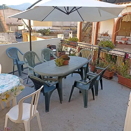Ginepro Sardegna