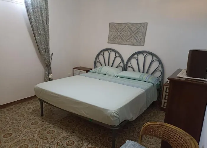 Ginepro Sardegna San Vito (Sardinia)